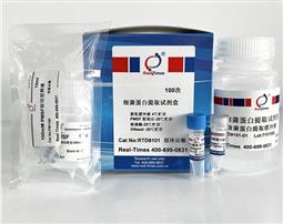 細菌蛋白提取試劑盒